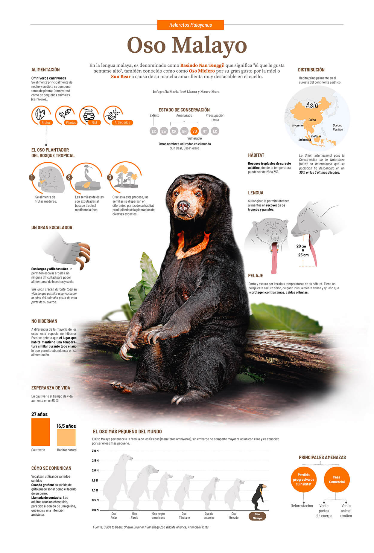 infografía impresa pequeña